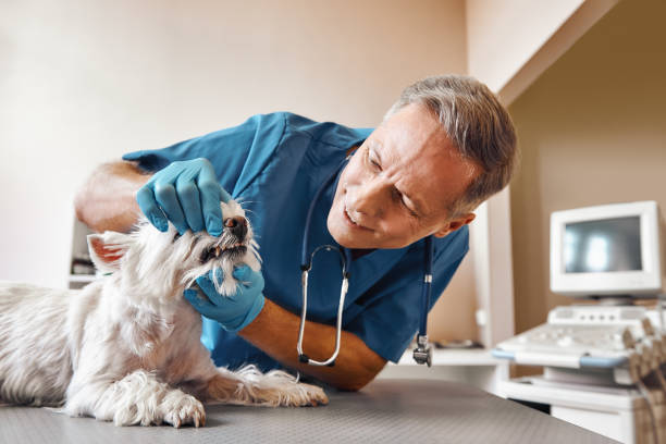 Best Emergency Dental Surgery in Golden Valley, MN